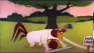 Foghorn Leghorn beats dog