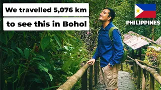 The only reason we came to Bohol... 🙈 (Philippines travel vlog | Tarsier conservation area)