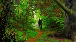 Digging up LOST VALUABLES on an ancient fairytale path! Metal Detecting Germany Nr.199