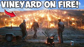 Neighbor BURNED Down My Vineyard, Claims It's DEMONIC! I Sued For $500,000!