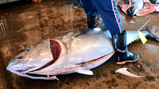 Cutting 300kg of Bluefin Tuna in 3 Minutes Easily