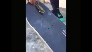 Lizard riding skateboard : Tragic Fail