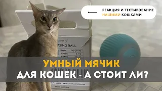 Интерактивный Умный Мячик для Кошек - РЕАЛЬНОЕ тестирование нашими кошками!  Стоит ли оно того?