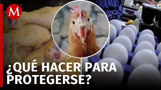 ¿Que precauciones debemos tomar tras la primera muerte por gripe aviar en México?