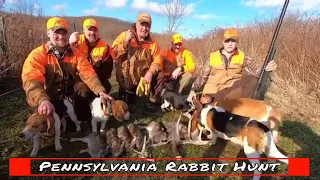 Pennsylvania Rabbit Hunt Yields Huge Deer Shed