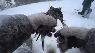 КЛЕВАЛИ ВСЕ И ПТИЦА И РЫБА🤣 НАДЕРБАНИЛИ СОРОГУ, МОХТИКА С МИКРОРЕЧКИ🎣ВЕЗДЕ ПОТОП У НАС МЕТЕЛЬ😱