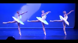 Big Swans || Perry Sevidal Ballet