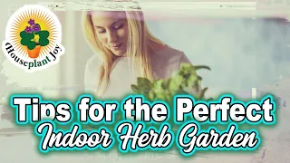 Tips for the Perfect Indoor Herb Garden | Houseplant Joy