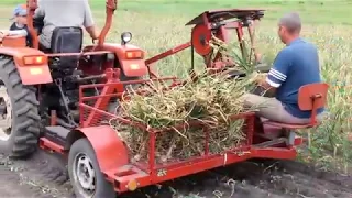 DIY Garlic harvester DIY