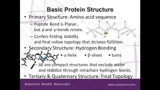 Improving Protein Folding Control and Scalability Using imPULSE Mixing Technology