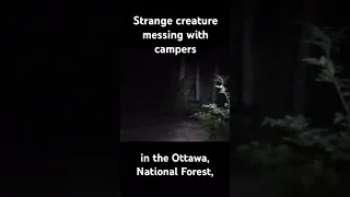 Campers have a possible Bigfoot sighting