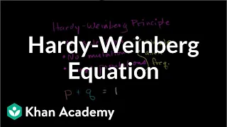 Hardy-Weinberg equation | Biomolecules | MCAT | Khan Academy