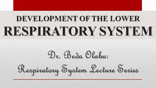 DEVELOPMENT & CONGENITAL MALFORMATIONS OF THE LOWER RESPIRATORY SYSTEM