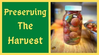 Fermented Tomatoes Are INSANELY Delicious - And They Store All Winter Long With NO REFRIGERATION