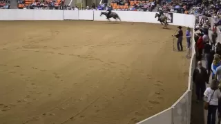 Free Reining Exhibition by Shawn and Sam Flarida, 2013 at Quarter Horse Congress