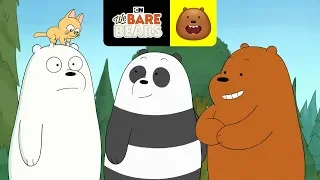 O gatinho | Ursos sem Curso | Cartoon Network