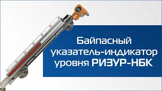 Байпасный указатель-индикатор уровня РИЗУР-НБК