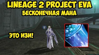 Бесконечная мана в Lineage 2 Project Eva.