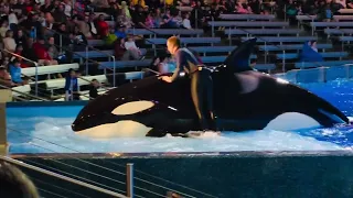 Omg biggest fish on earth Killer whale (full show) #orca #seaworld #viral #youtube #youtubeshorts