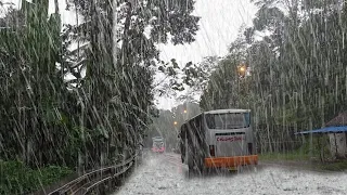 walking in the rain, calming rain sounds for sleep and meditation