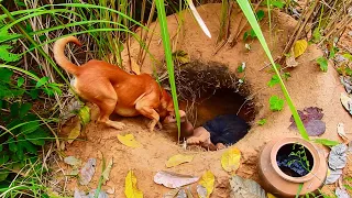 Building The Most Secret Underground Tunnel House In Deep Jungle By Ancient Skill