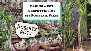 Making a pot for my 1st Ponytail Palm & repotting it + a sneak peak of our giveaway, #gardeningtips