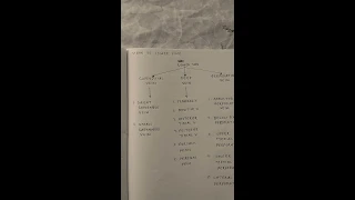 CIRCULATORY SYSTEM/VEINS OF LOWER LIMB/FLOW CHART