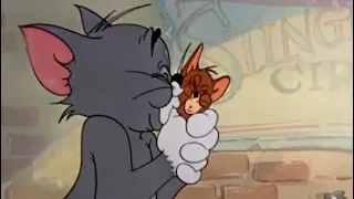 Tom and Jerry kiss compilation