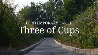 Three of Cups in 3 minutes