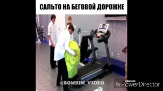 Новые приколы 2017