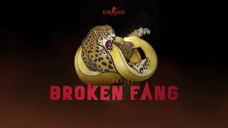 CS:GO - Operation Broken Fang