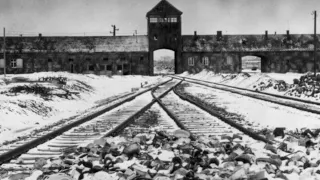 75 years since Auschwitz was liberated (disturbing pictures)