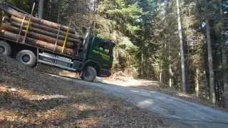 Holztransport im steilen Gelände