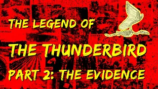 The Legend of The Thunderbird - Part Two: The Evidence