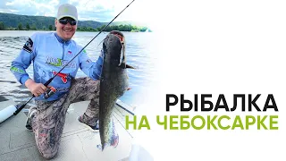 ЭТА ПОКЛЁВКА ЗАПОМНИТСЯ НАДОЛГО! Рыбалка на Чебоксарском водохранилище на воблеры и джиг