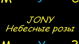 JONY - Небесные розы (МИНУСОВКА, ТЕКСТ)