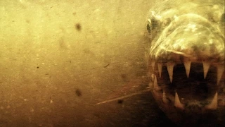 Goliath Tigerfish: The Super-Sized Piranha