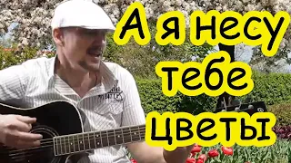 КРАСИВАЯ ПЕСНЯ  под гитару А Я НЕСУ ТЕБЕ ЦВЕТЫ