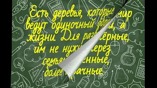 Перлы из школьных сочинений. Сборник №15