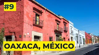 Españoles por el mundo Oaxaca: Documentando la diversidad de la vida en Oaxaca, México