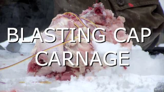 Blasting Cap Chicken Carnage - Explosives Research, Vol 7
