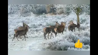 Уничтожить бессознательные блокировки и негатив. 396 Гц ( герц)