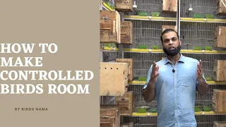How to make a cotrolled bird room| Birds Nama