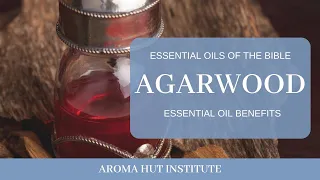Agarwood Oil and Spiritual Significance of Aloes (Oils in the Bible)