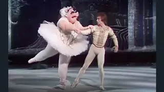 Rudolph Nureyev at Muppet Show "Swine Lake" 🤣🤣🤣