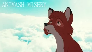 animash - misery