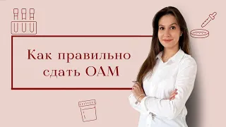 Общий анализ мочи, как правильно сдать. Важные моменты при сборе анализа.