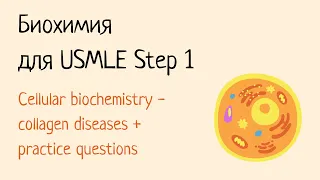 Биохимия для USMLE Step 1 - Клеточная биология (часть 2)