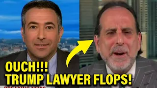 Trump Lawyer gets utterly HUMILIATED by MSNBC Host live on air