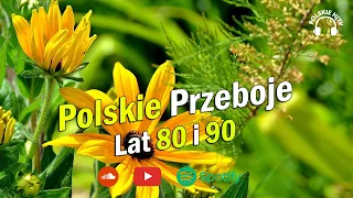 Polskie Piosenki -- Największe Polskie Przeboje -- Najpopularniejsze Polskie Piosenki Wszechczasów